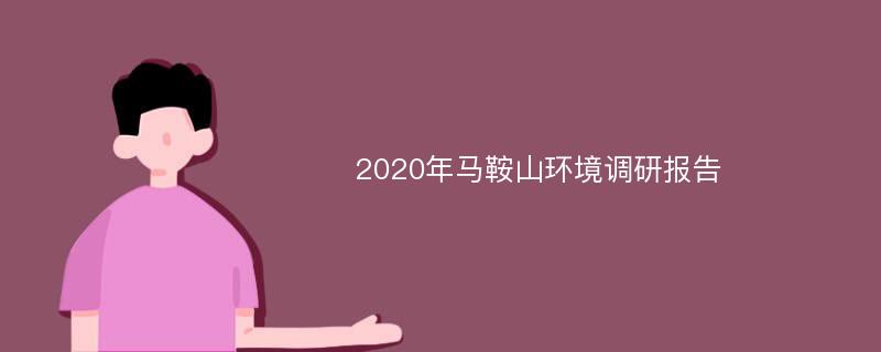 2020年马鞍山环境调研报告