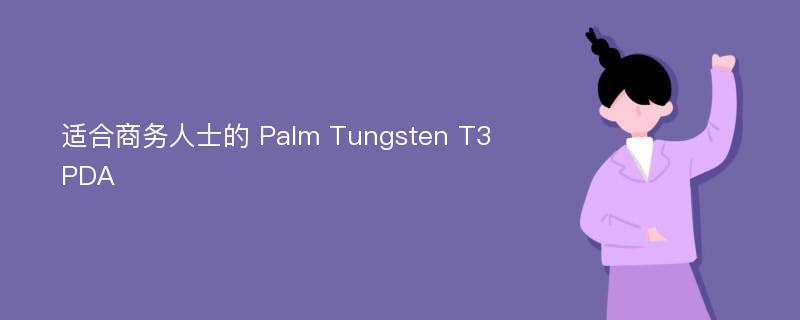适合商务人士的 Palm Tungsten T3 PDA