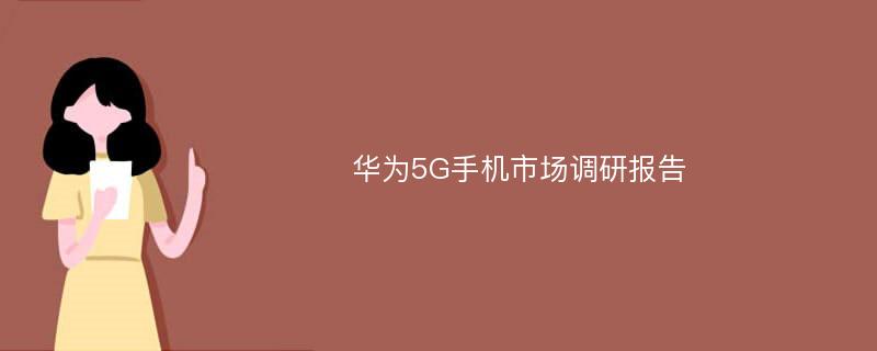 华为5G手机市场调研报告