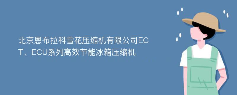 北京恩布拉科雪花压缩机有限公司ECT、ECU系列高效节能冰箱压缩机