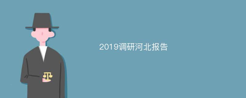 2019调研河北报告